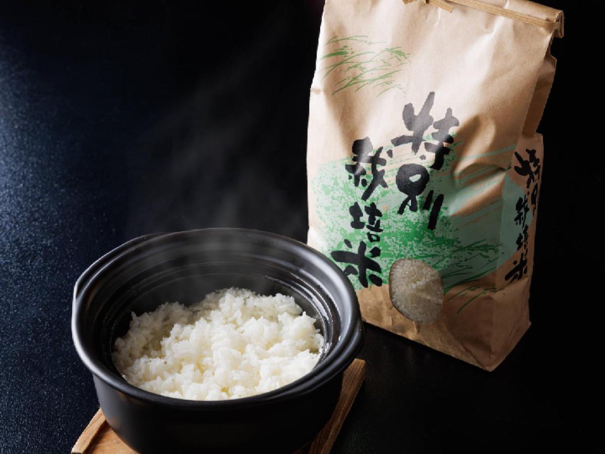 Ryokan Kigusuriya Nantan city Eksteriør billede