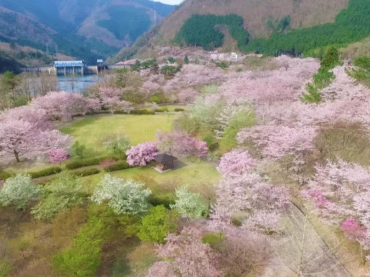 Ryokan Kigusuriya Nantan city Eksteriør billede